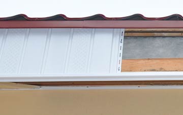 Silian fascia repair costs