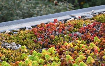 the cost of Silian green roof installation